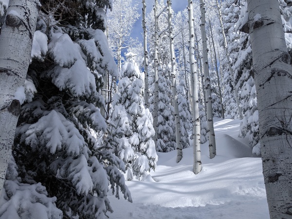 Click to sign up for free weather forecasts for Steamboat Springs!