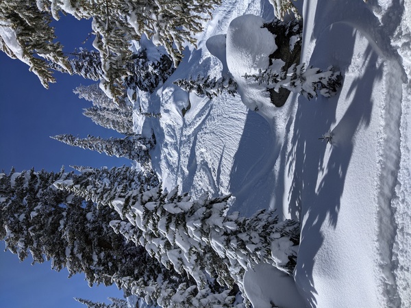 Click to sign up for free weather forecasts for Steamboat Springs!