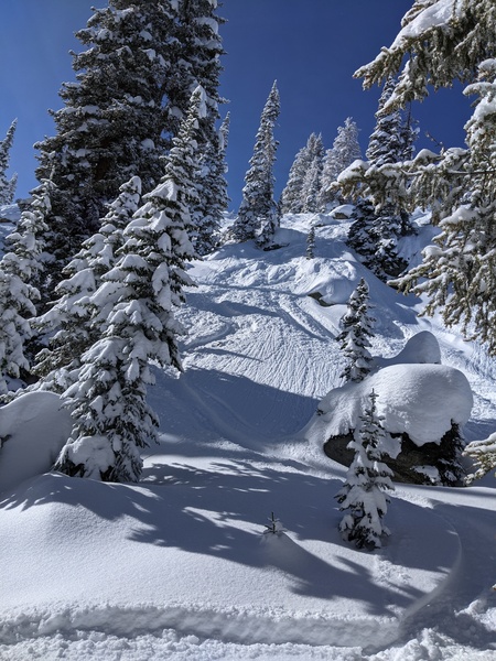 Click to sign up for free weather forecasts for Steamboat Springs!