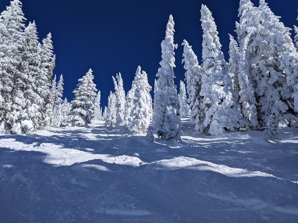 Click to sign up for free weather forecasts for Steamboat Springs!