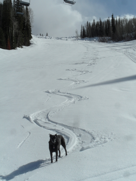 Click to sign up for free weather forecasts for Steamboat Springs!