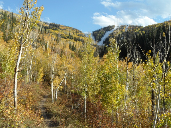 Click to sign up for free weather forecasts for Steamboat Springs!