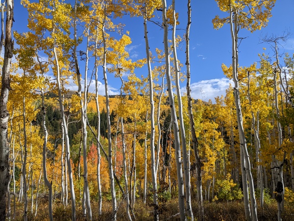 Click to sign up for free weather forecasts for Steamboat Springs!