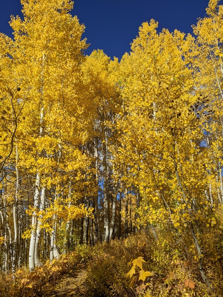 Click to sign up for free weather forecasts for Steamboat Springs!