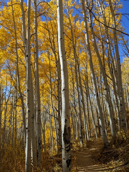 Click to sign up for free weather forecasts for Steamboat Springs!