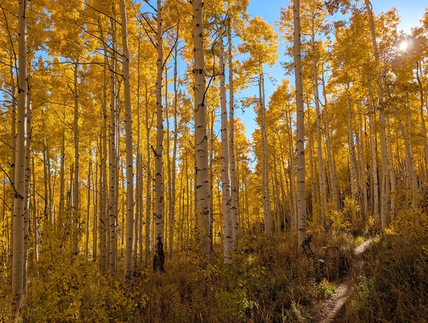 Click to sign up for free weather forecasts for Steamboat Springs!