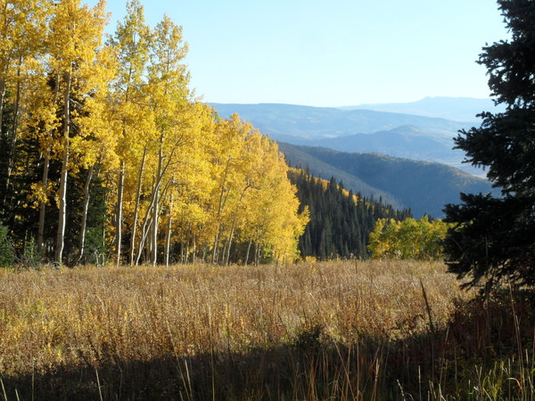 Click to sign up for free weather forecasts for Steamboat Springs!