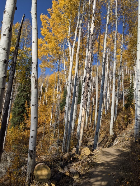 Click to sign up for free weather forecasts for Steamboat Springs!