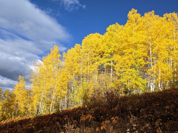 Click to sign up for free weather forecasts for Steamboat Springs!