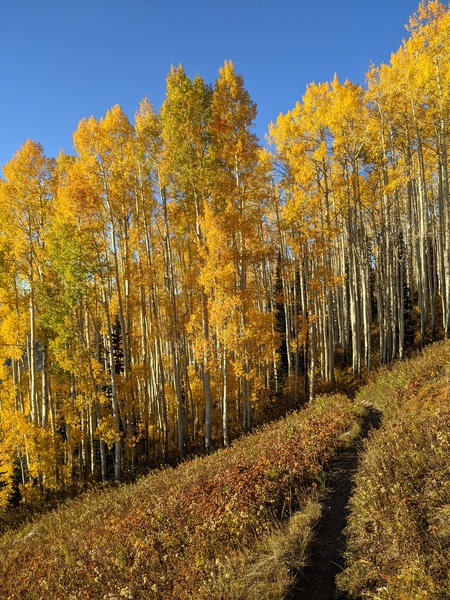 Click to sign up for free weather forecasts for Steamboat Springs!