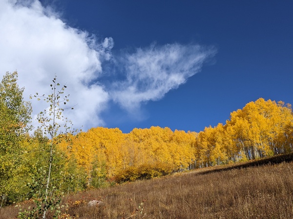 Click to sign up for free weather forecasts for Steamboat Springs!