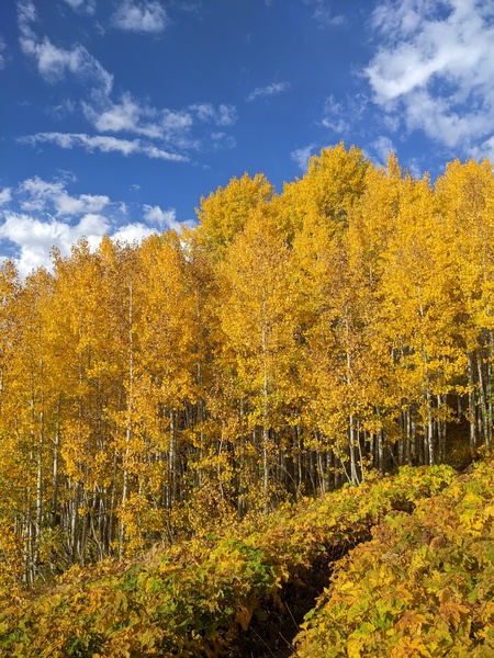 Click to sign up for free weather forecasts for Steamboat Springs!