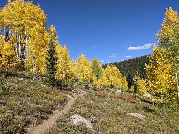 Click to sign up for free weather forecasts for Steamboat Springs!