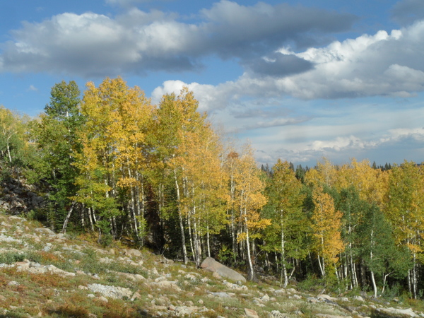 Click to sign up for free weather forecasts for Steamboat Springs!