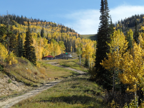 Storm Peak with deer 8 Oct 2014