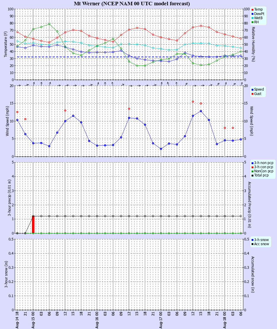 Latest NAM forecast