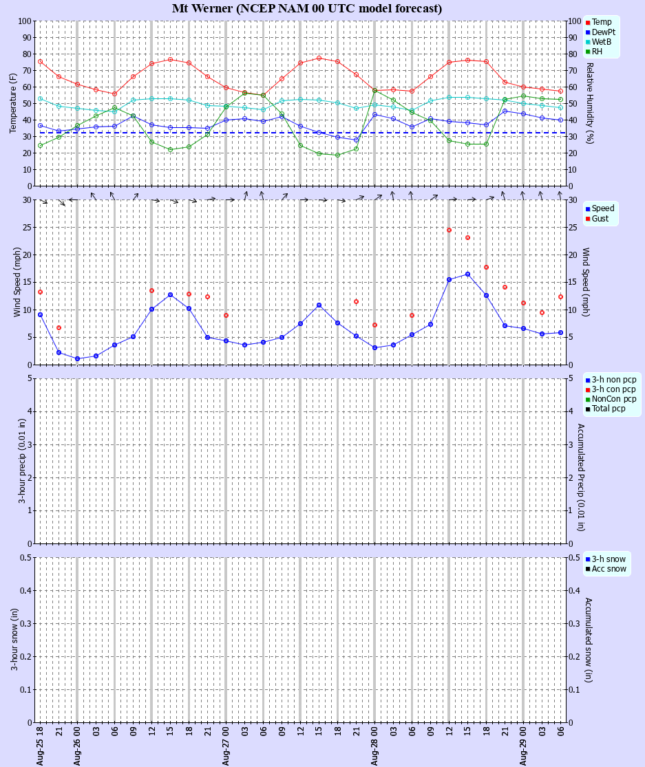 Latest NAM forecast