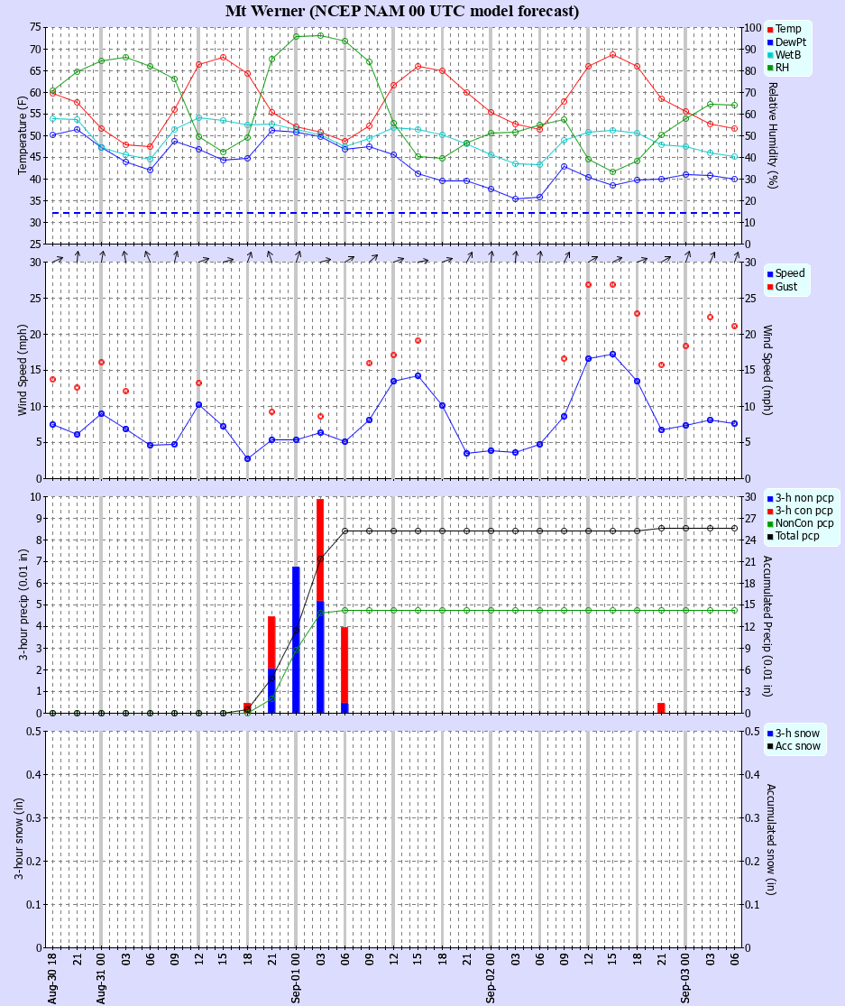 Latest NAM forecast