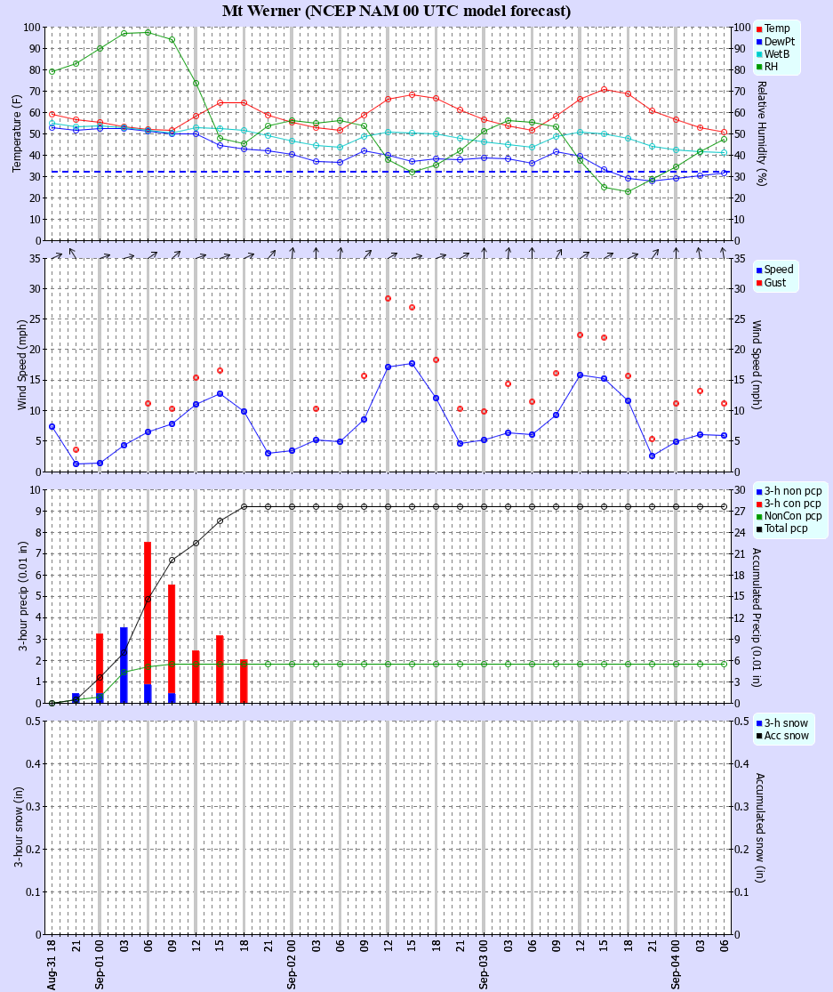 Latest NAM forecast