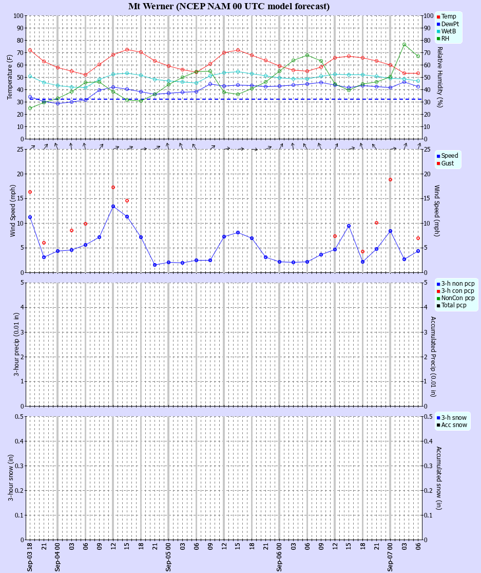 Latest NAM forecast