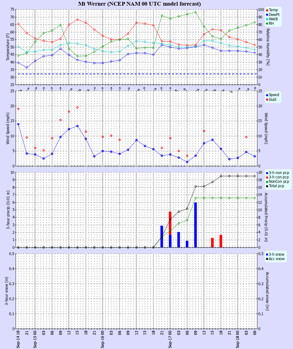 Latest NAM forecast