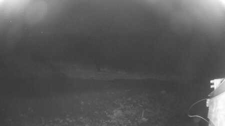 latest image of Beaver Creek