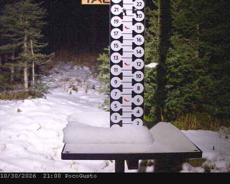 latest image of Taos
